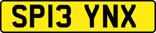 SP13YNX