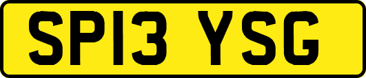SP13YSG