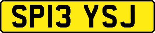 SP13YSJ