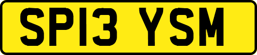 SP13YSM