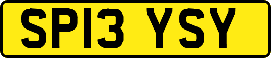 SP13YSY