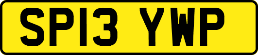 SP13YWP