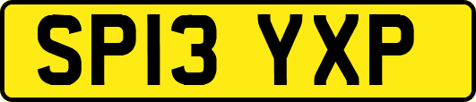 SP13YXP