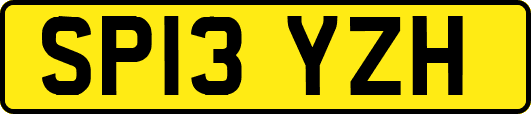 SP13YZH