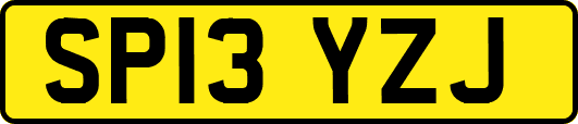 SP13YZJ