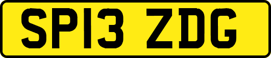 SP13ZDG
