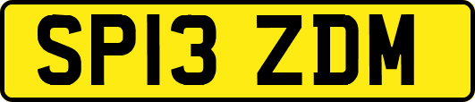 SP13ZDM
