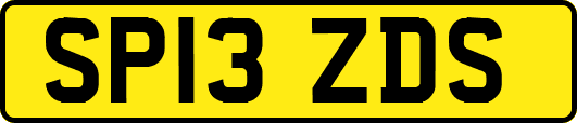 SP13ZDS