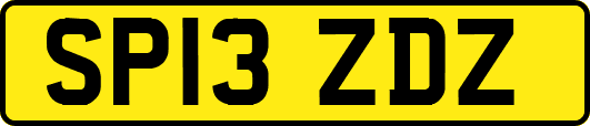 SP13ZDZ