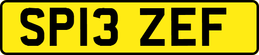 SP13ZEF