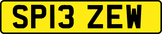 SP13ZEW