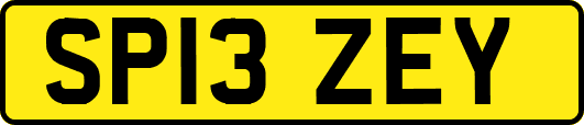 SP13ZEY