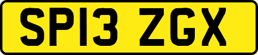 SP13ZGX