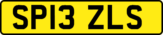 SP13ZLS