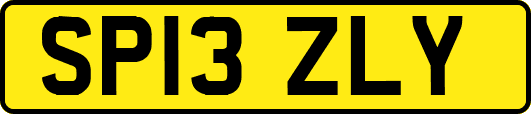 SP13ZLY