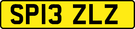 SP13ZLZ