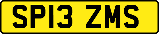 SP13ZMS