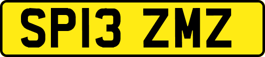 SP13ZMZ