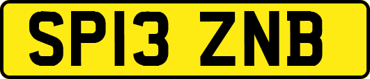 SP13ZNB