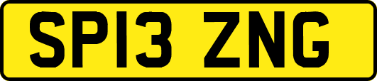 SP13ZNG