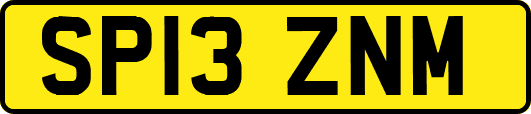 SP13ZNM