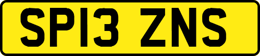SP13ZNS