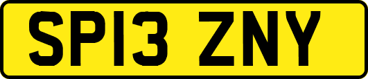 SP13ZNY