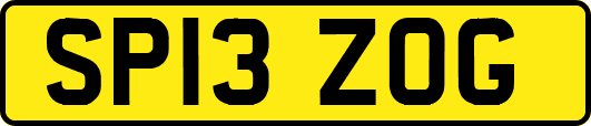 SP13ZOG