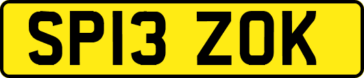 SP13ZOK