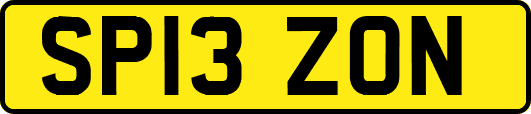 SP13ZON