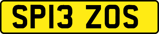 SP13ZOS