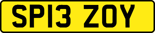 SP13ZOY
