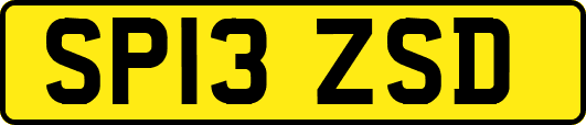 SP13ZSD