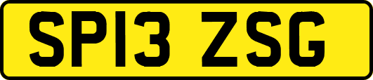 SP13ZSG