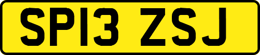 SP13ZSJ
