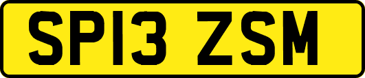 SP13ZSM