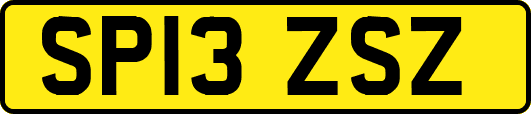 SP13ZSZ