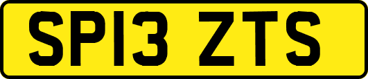 SP13ZTS