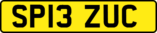 SP13ZUC