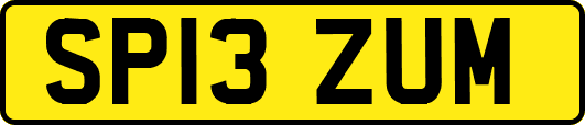 SP13ZUM