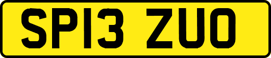SP13ZUO