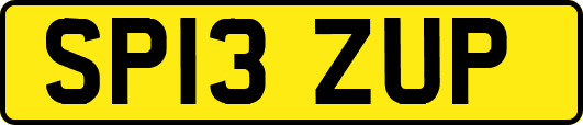 SP13ZUP
