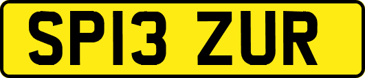 SP13ZUR