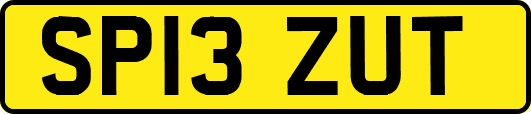SP13ZUT