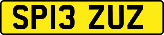 SP13ZUZ