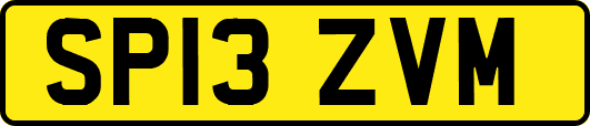 SP13ZVM
