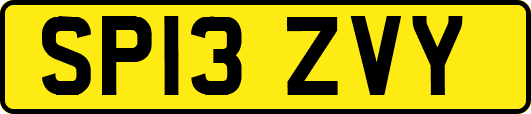 SP13ZVY