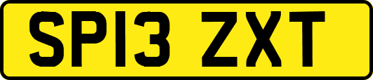 SP13ZXT