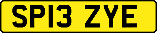 SP13ZYE