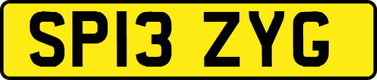 SP13ZYG